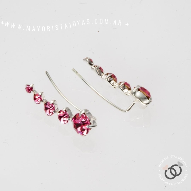 AROS TREPADORES (PCT0065)