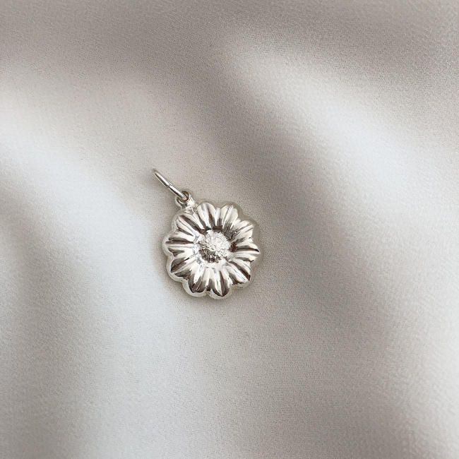 DIJE PLATA ELECTRO (PDE029)