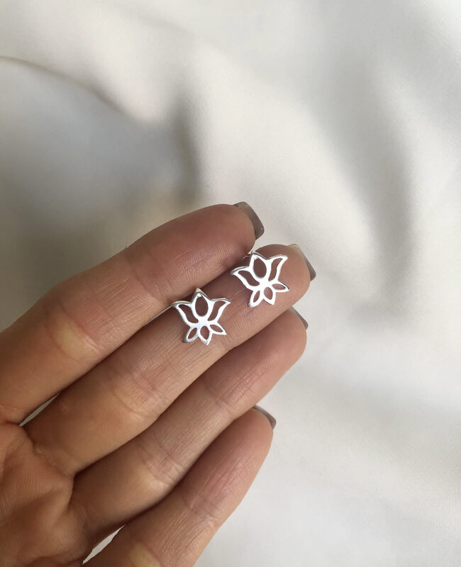 AROS PLATA LOTO (PPF0034)