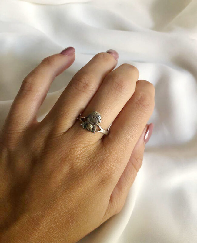 ANILLO PLATA Y ORO (POA210)