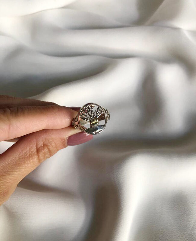 ANILLO PLATA Y ORO (POA175)