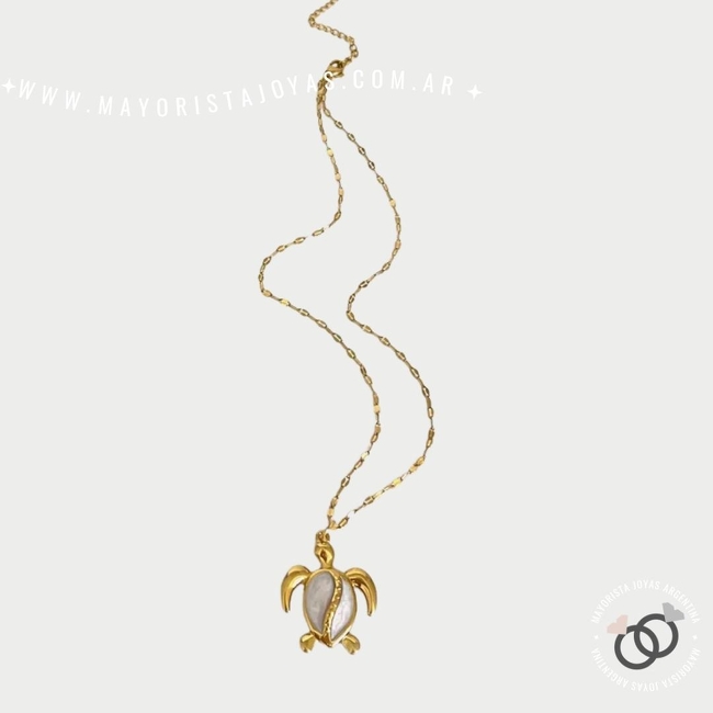 COLLAR DE ACERO (CA0209)