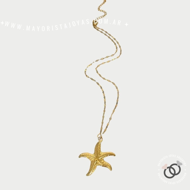 COLLAR DE ACERO (CA0211)